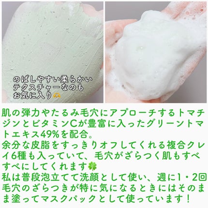グリーントマトクレイマスククレンザー/FULLY/洗い流すパック・マスクを使ったクチコミ(2枚目)