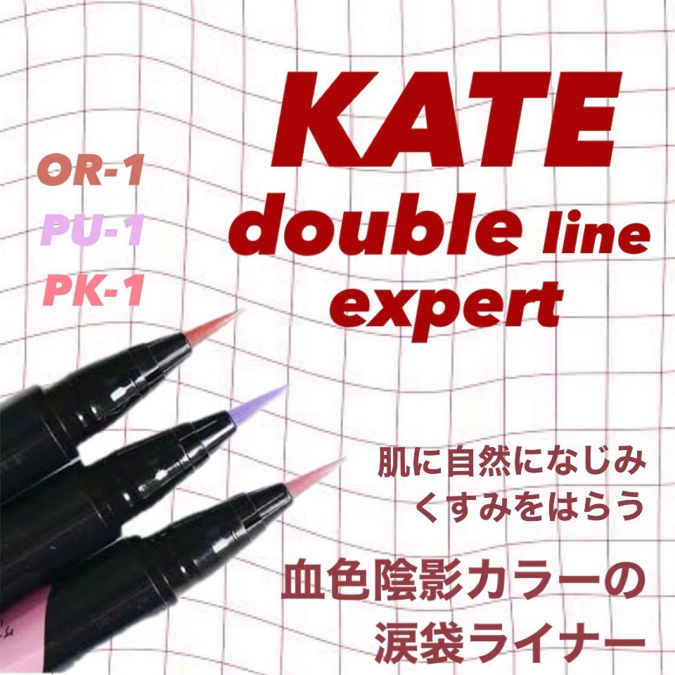 ダブルラインエキスパート(血色陰影カラー)/KATE/リキッドアイライナーを使ったクチコミ(1枚目)