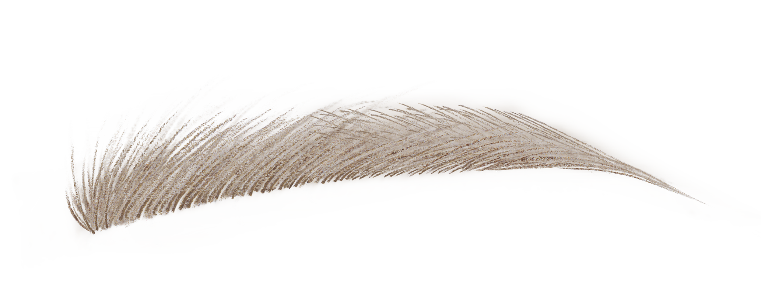 ハード フォーミュラ ハード 9 オリーブ カーキ 15