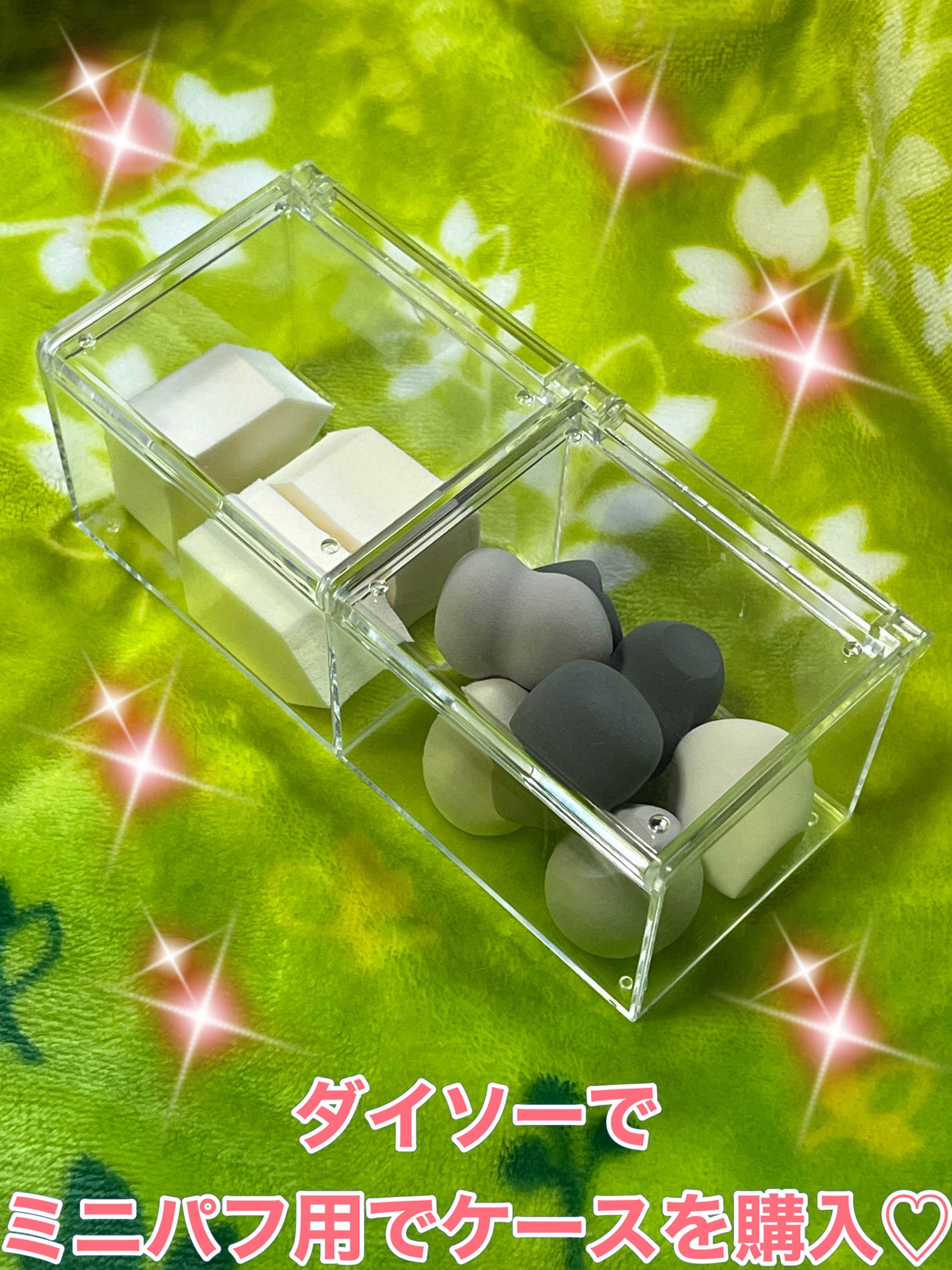 フタ付きクリアケース/DAISO/その他を使ったクチコミ(1枚目)