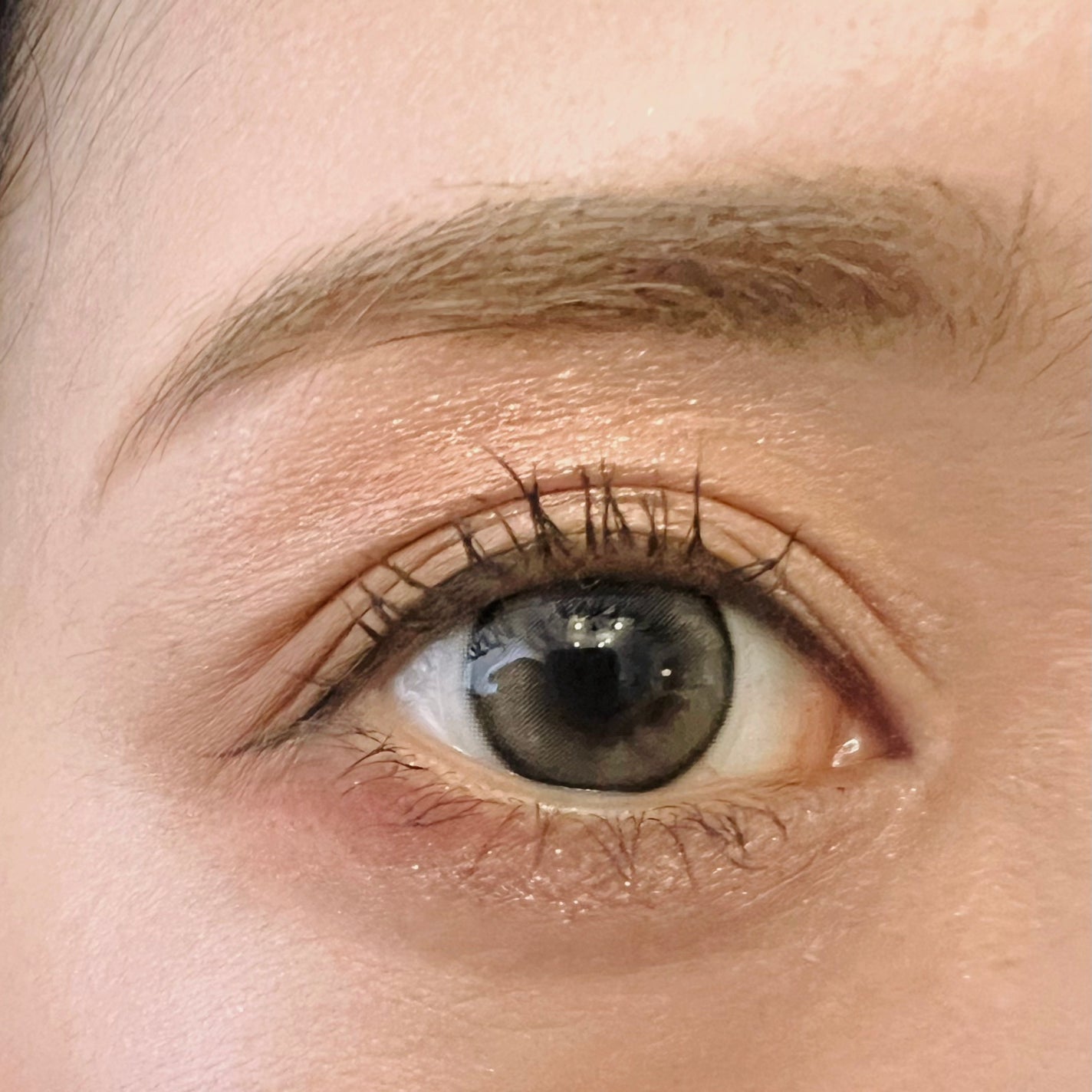 ミゼルエディ カールアップマスカラ ロング/ミゼルエディ/マスカラを使ったクチコミ(2枚目)