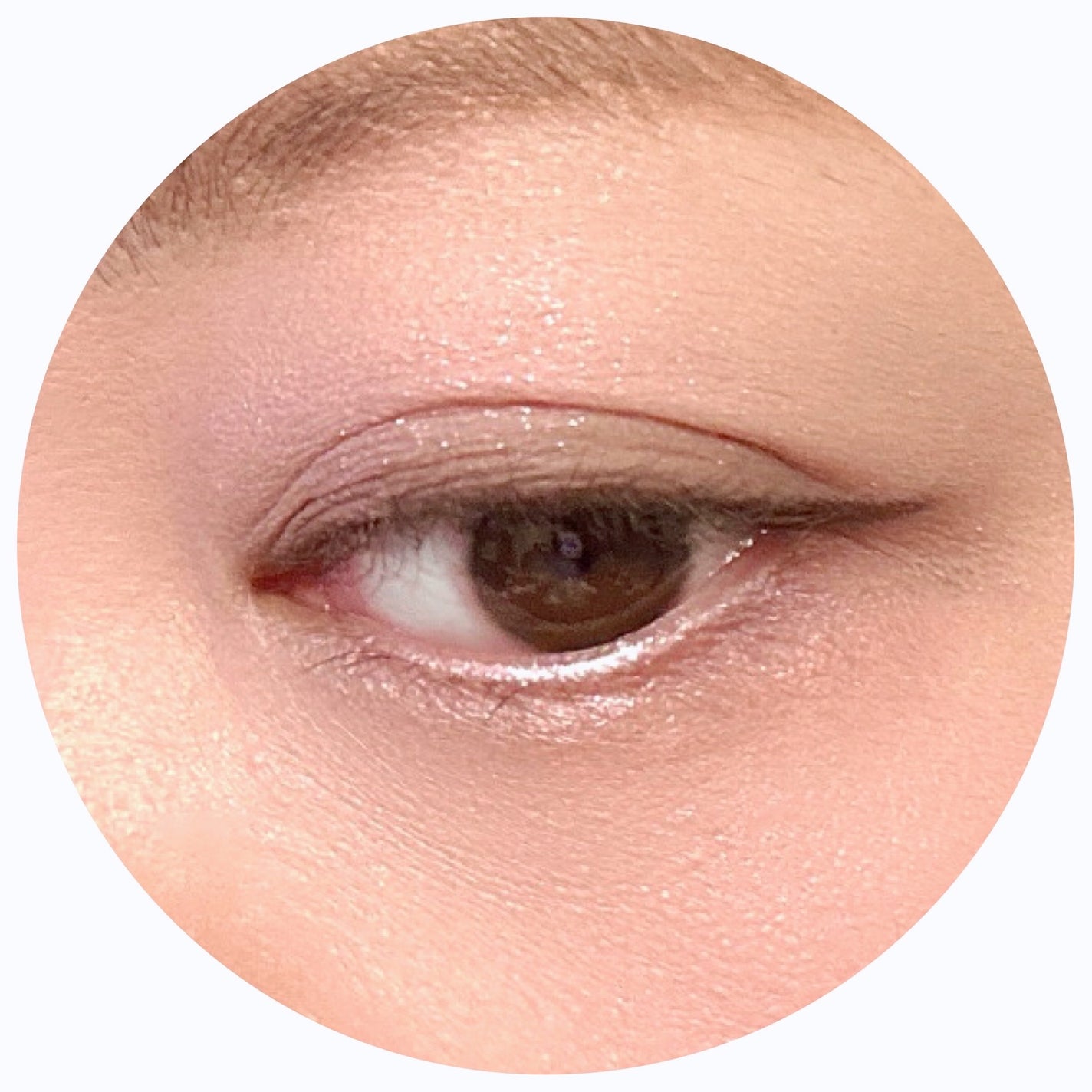 ベターミーアイパレット/2aN/マルチパレットを使ったクチコミ(4枚目)