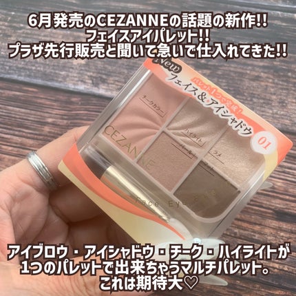 フェイスアイパレット/CEZANNE/アイシャドウを使ったクチコミ(2枚目)