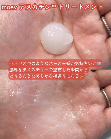 モエブ アヌカチン シャンプー/トリートメント/moev/市販シャンプーを使ったクチコミ(4枚目)
