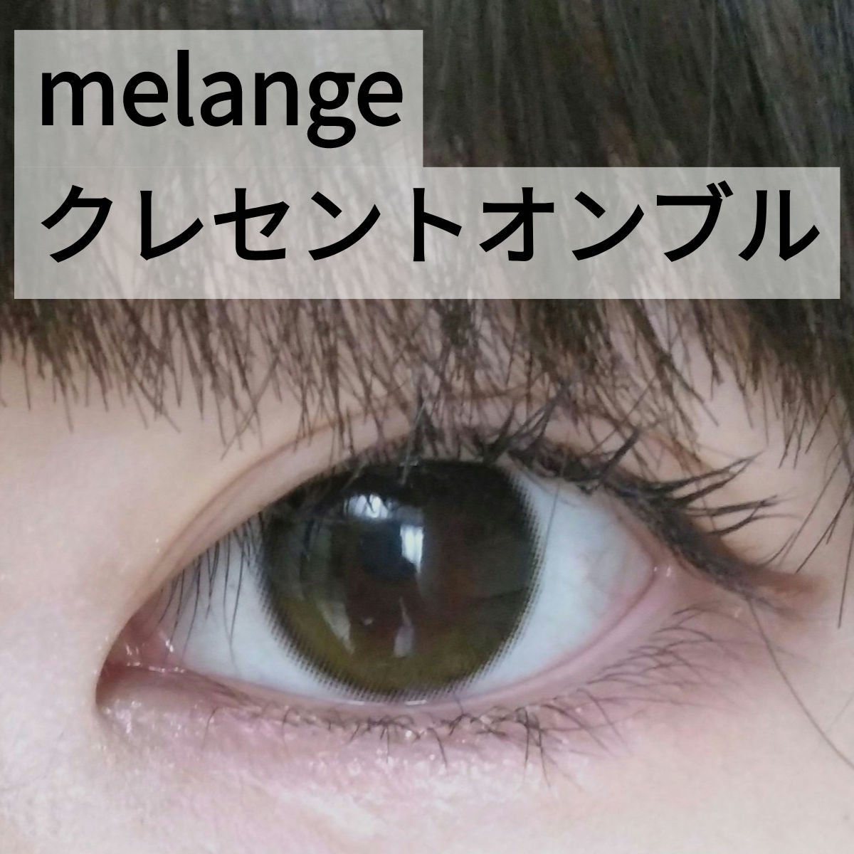 メランジェ シュエット ワンデー/melange+chouette/ワンデー（１DAY）カラコンを使ったクチコミ（1枚目）