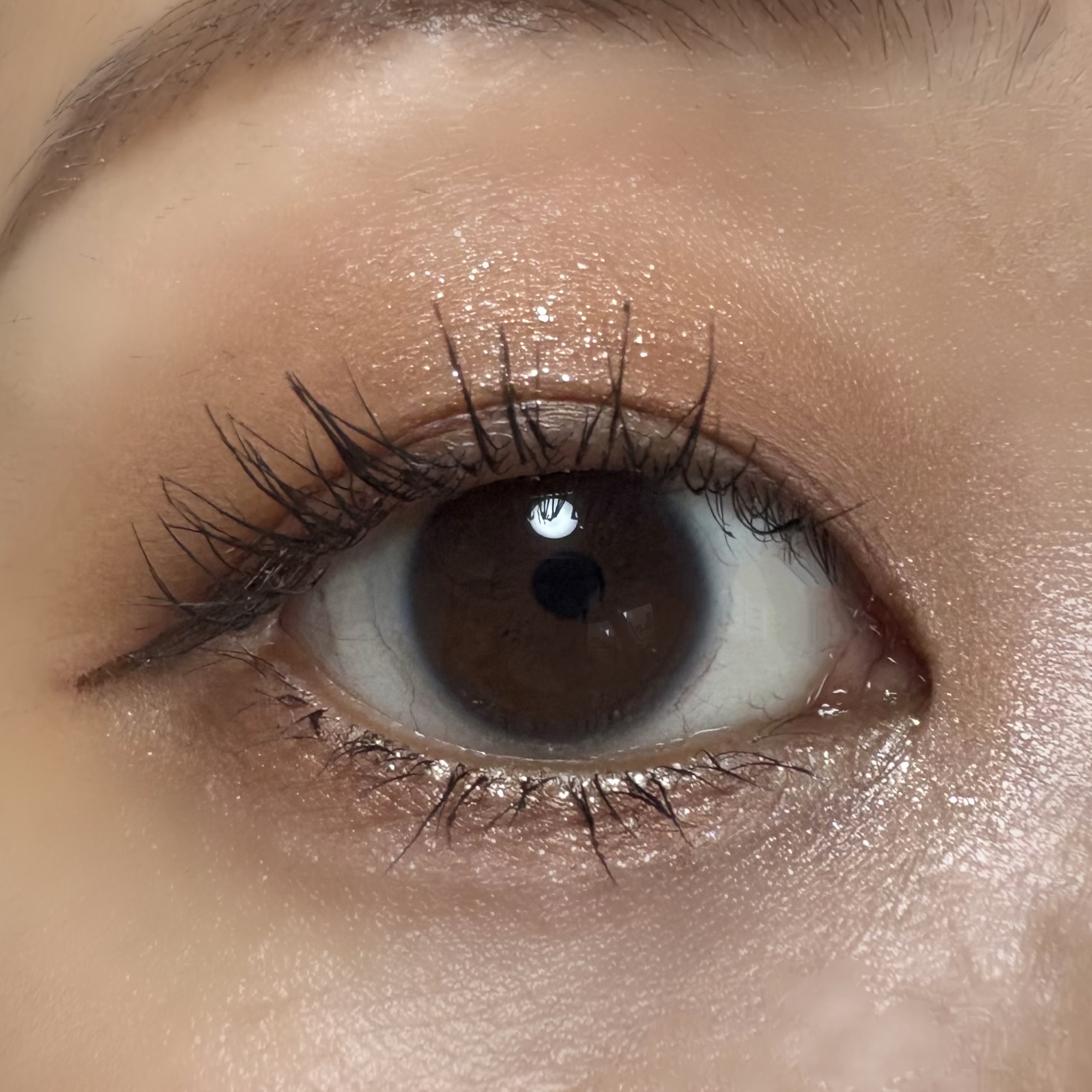 プティパレットアイズ/キャンメイク/パウダーアイシャドウを使ったクチコミ（3枚目）