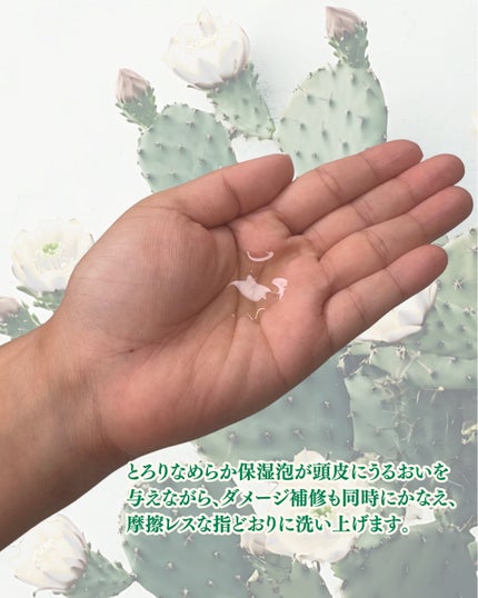 ãµãã³ããµãã¿ãã¢ã€ã¹ããã©ã³ãã·ã£ã³ããŒ/ãã¢ããªãŒãã¡ã³ã/Savon du Savota/ã·ã£ã³ããŒã»ã³ã³ãã£ã·ã§ããŒã䜿ã£ãã¯ãã³ãïŒ3æç®ïŒ