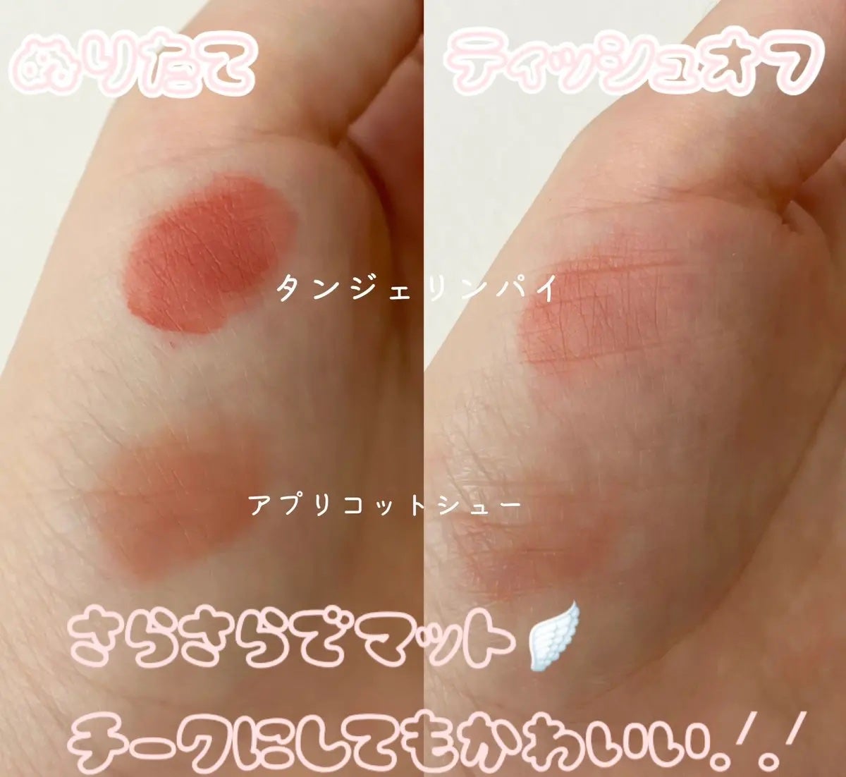 ベルベットシューティント/INGA/リップティントを使ったクチコミ(3枚目)