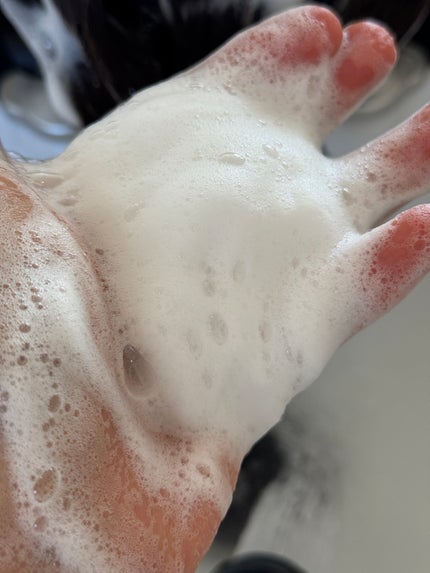 ミント シャンプー マイルドリフレッシュ/アリミノ/サロンシャンプーを使ったクチコミ(3枚目)