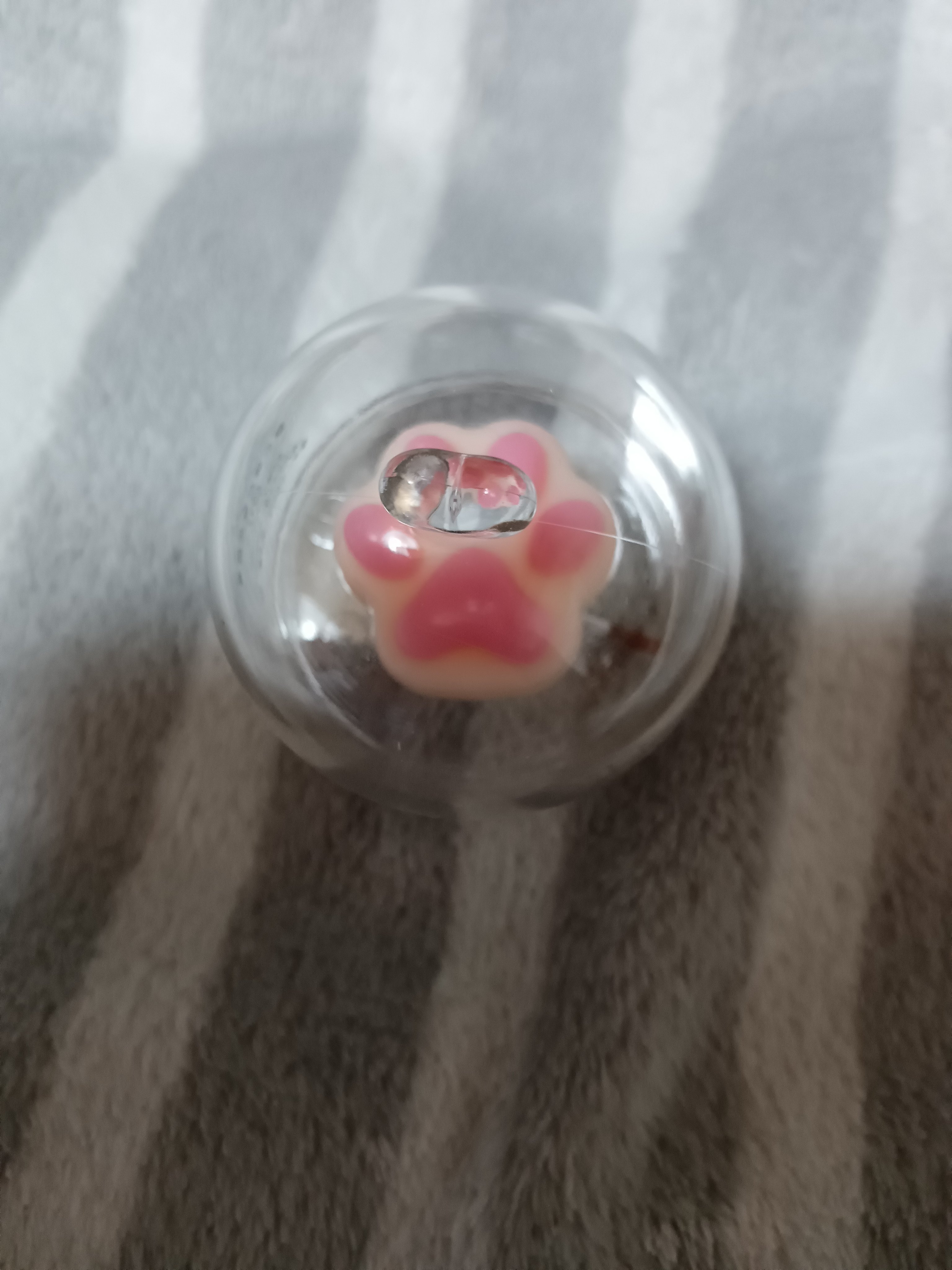 肉球リップバーム/OMGA/リップバームを使ったクチコミ（1枚目）