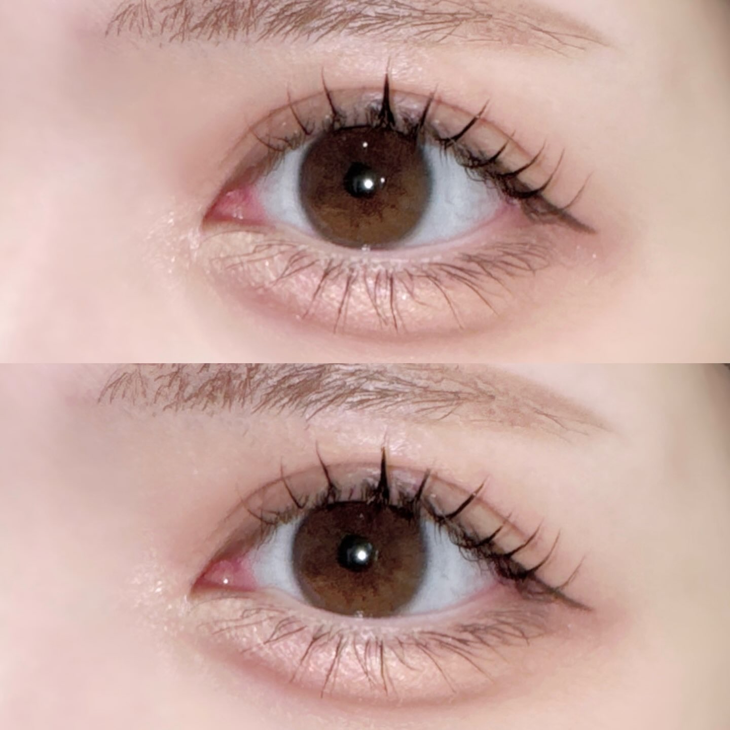 SOFT EYE PALETTE/GIVERNY/アイシャドウパレットを使ったクチコミ（3枚目）