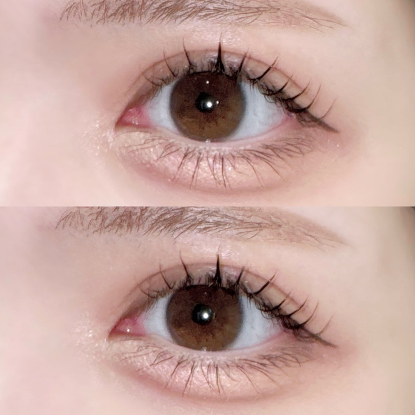 SOFT EYE PALETTE/GIVERNY/アイシャドウパレットを使ったクチコミ(3枚目)