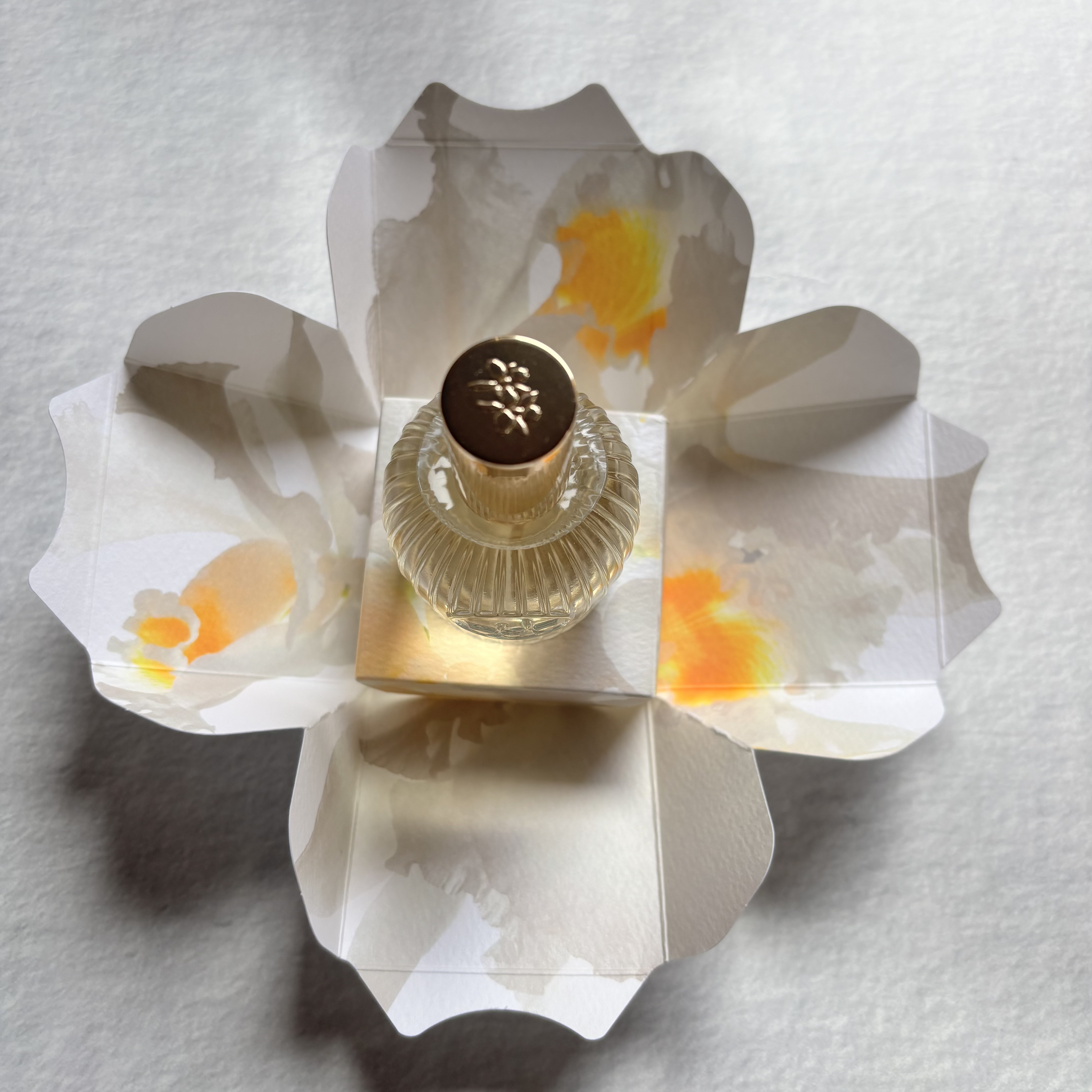 ロウレンス　パルファム　ルシェルクラーテ/ロウレンス /香水(レディース)を使ったクチコミ（3枚目）