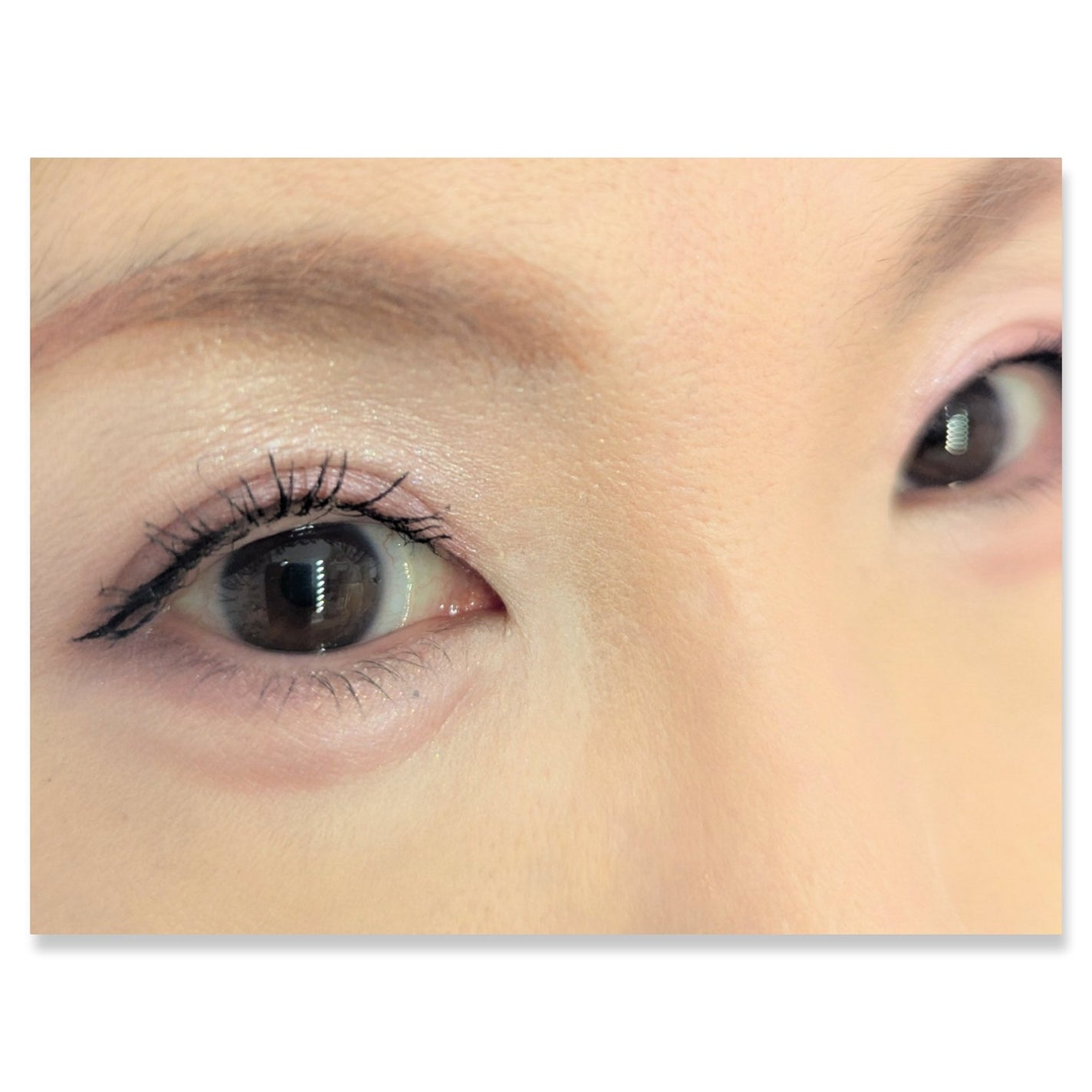 マイキティアイパレット/MilleFée/アイシャドウパレットを使ったクチコミ(2枚目)