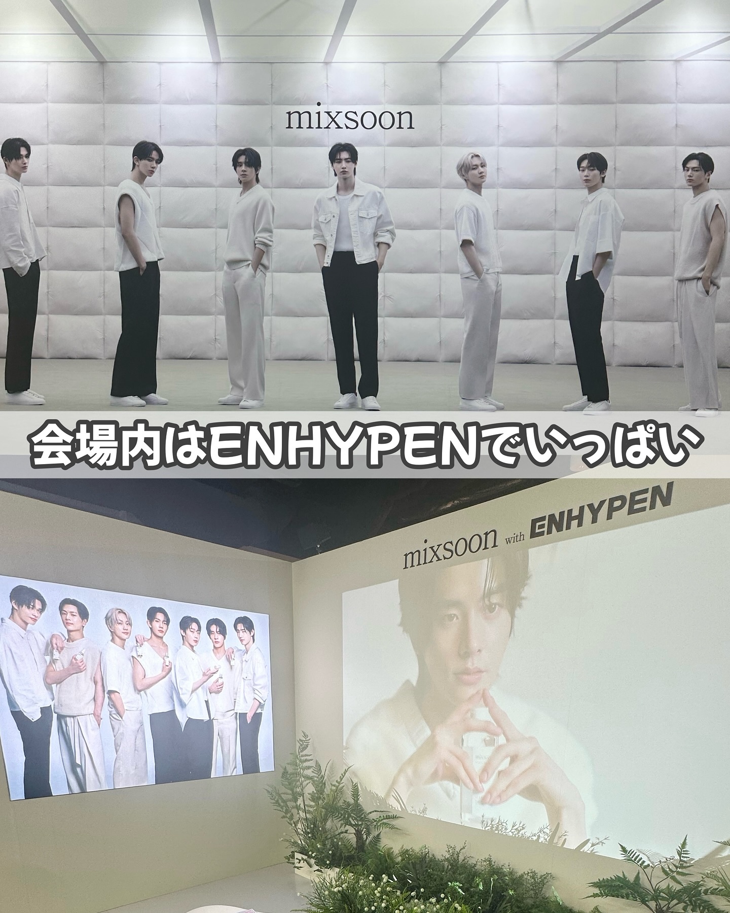 大豆エッセンス/mixsoon/美容液を使ったクチコミ（2枚目）