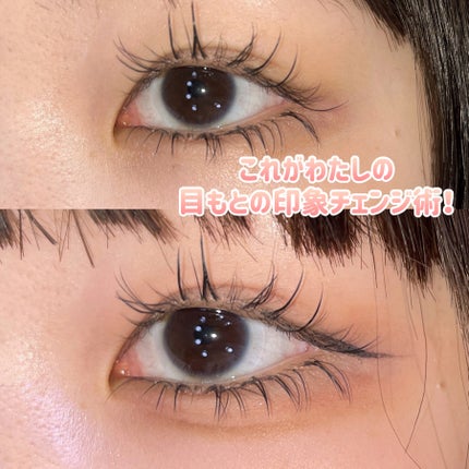 シャドウパレット/dasique/アイシャドウパレットを使ったクチコミ(4枚目)