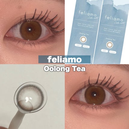 feliamo 1day ウーロンティー/feliamo/ワンデー(1DAY)カラコンの画像