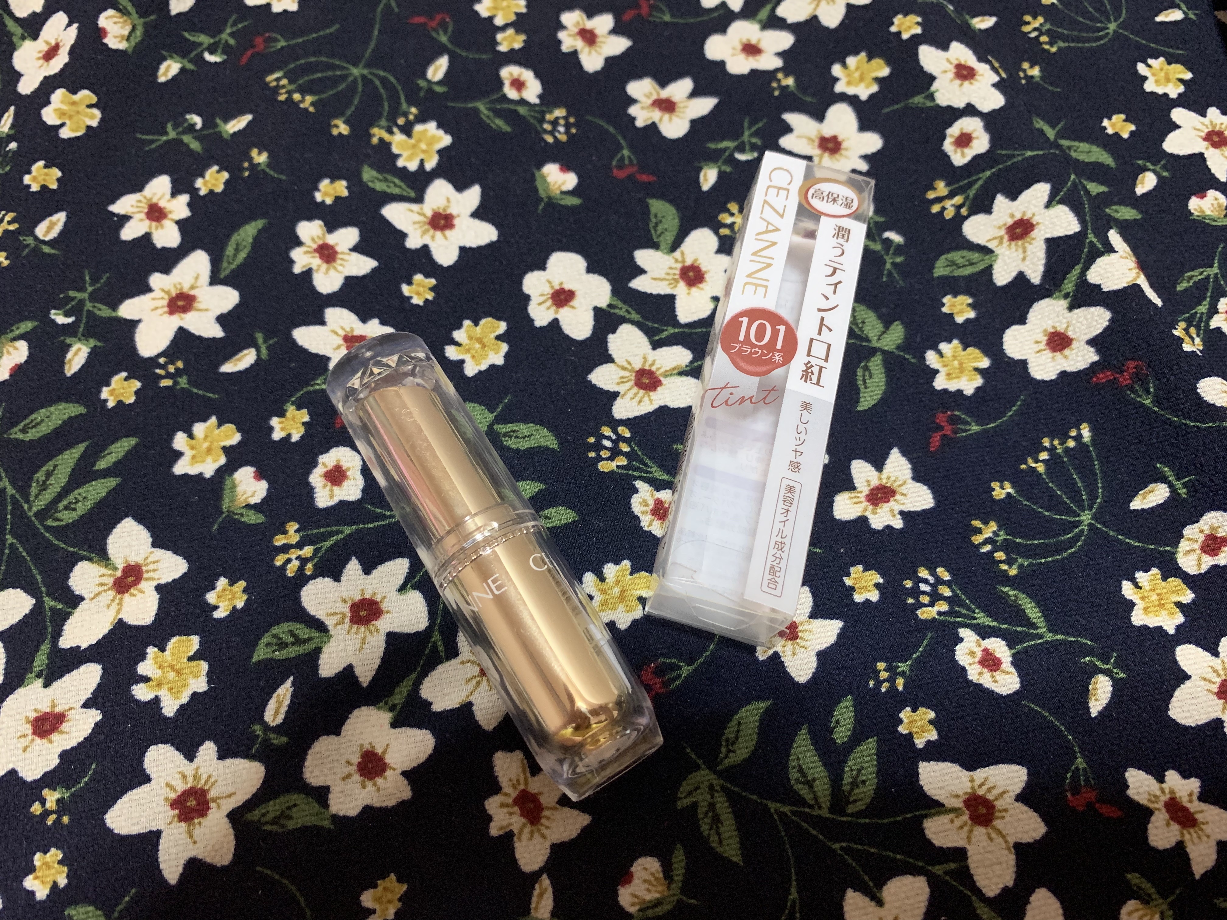 ラスティンググロスリップ 101 ブラウン系/CEZANNE/口紅を使ったクチコミ（1枚目）