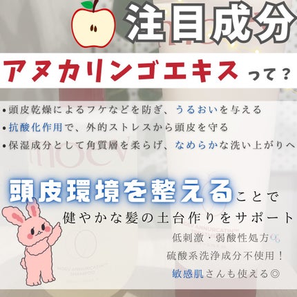 モエブ アヌカチン シャンプー/トリートメント/moev/市販シャンプーを使ったクチコミ(2枚目)