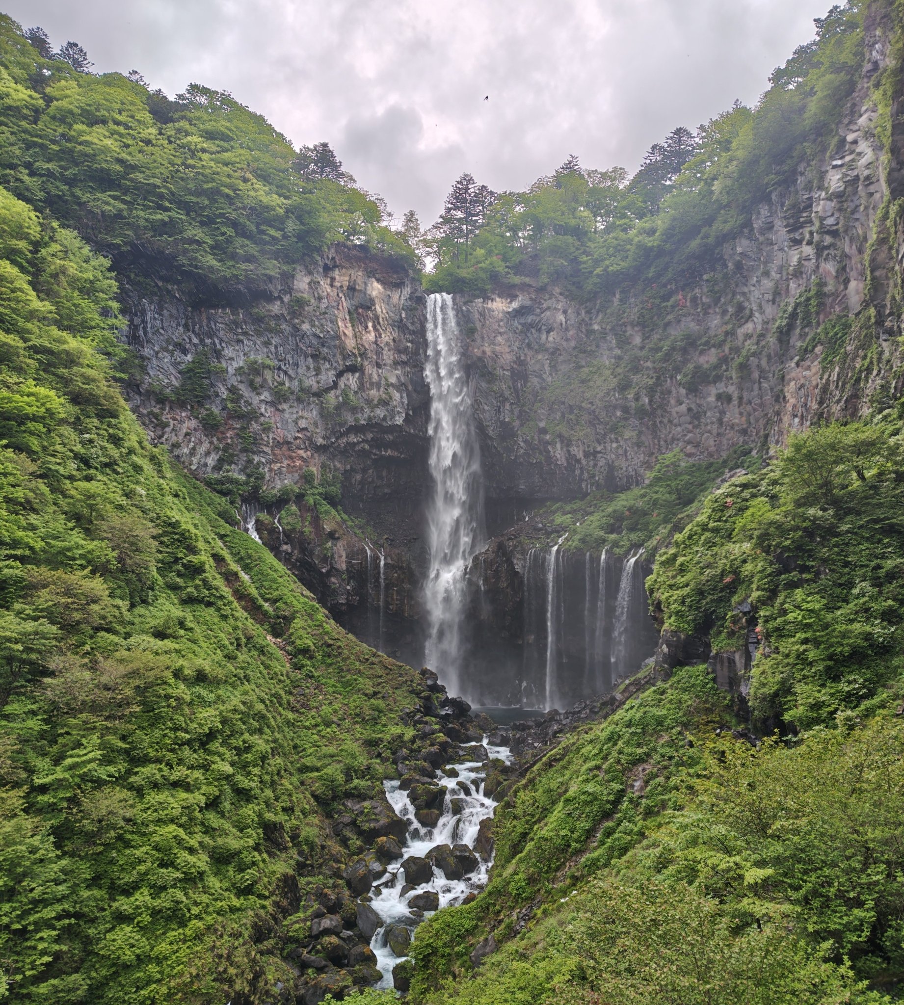 キレートレモンゼリー/Pokka Sapporo (ポッカサッポロ)/食品を使ったクチコミ（1枚目）