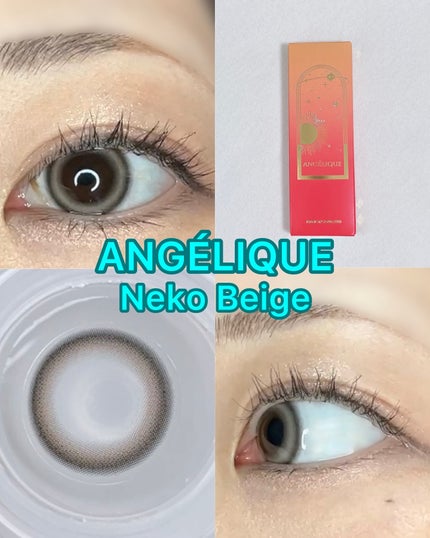 ANGÉLIQUE 1day/ANGÉLIQUE/ワンデー(1DAY)カラコンを使ったクチコミ(1枚目)