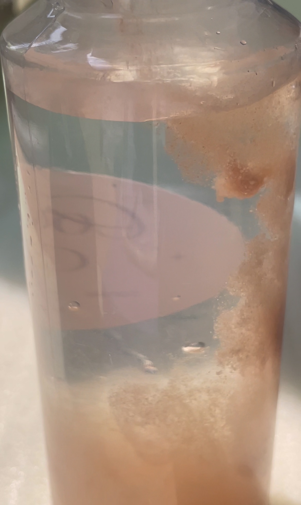 LINGTEA DOT TEA/LINGTEA/美容ドリンクを使ったクチコミ（3枚目）