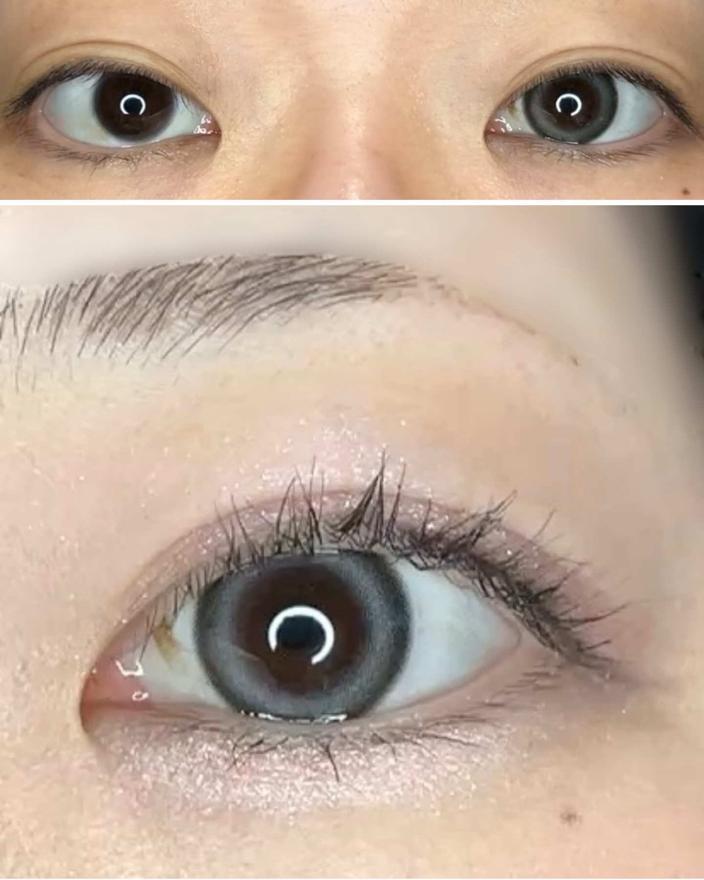 ANGÉLIQUE 1day/ANGÉLIQUE/ワンデー（１DAY）カラコンを使ったクチコミ（2枚目）