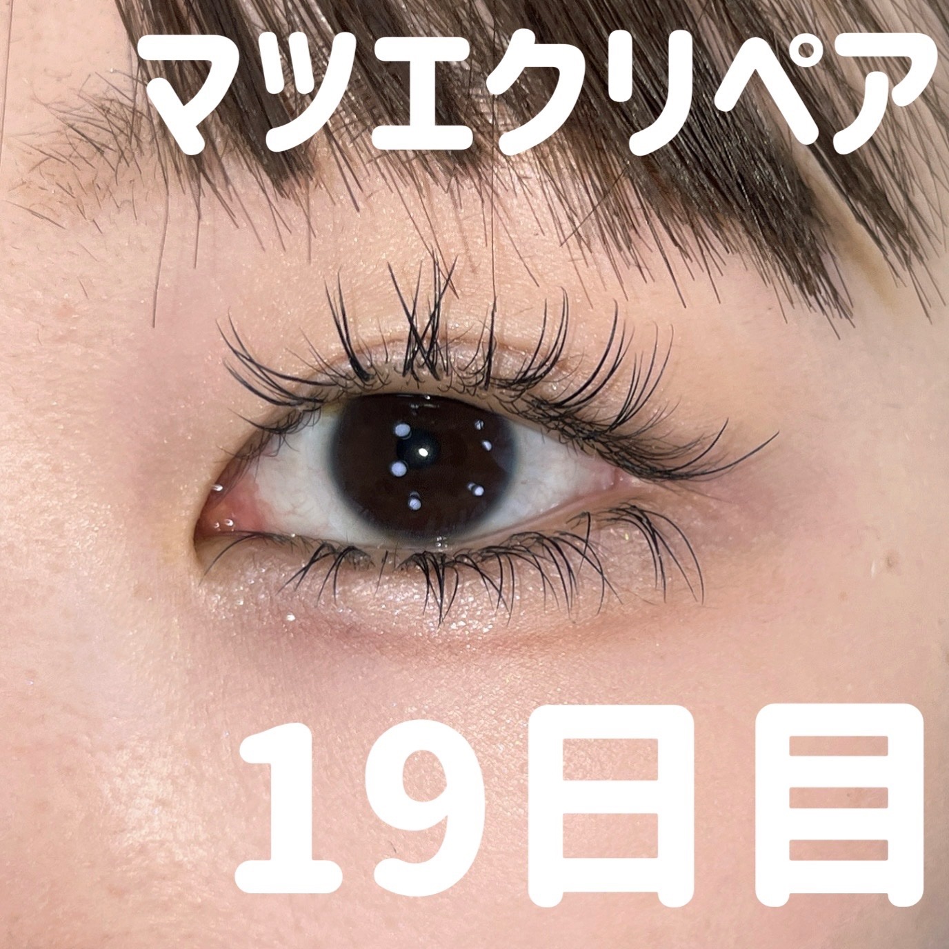 プランぷくコーデアイズNeo/キャンメイク/アイシャドウを使ったクチコミ（1枚目）