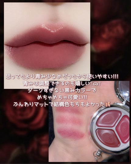 ブラーリングタイムトゥーキスアンドブラッシュ/Dinto/口紅を使ったクチコミ(3枚目)