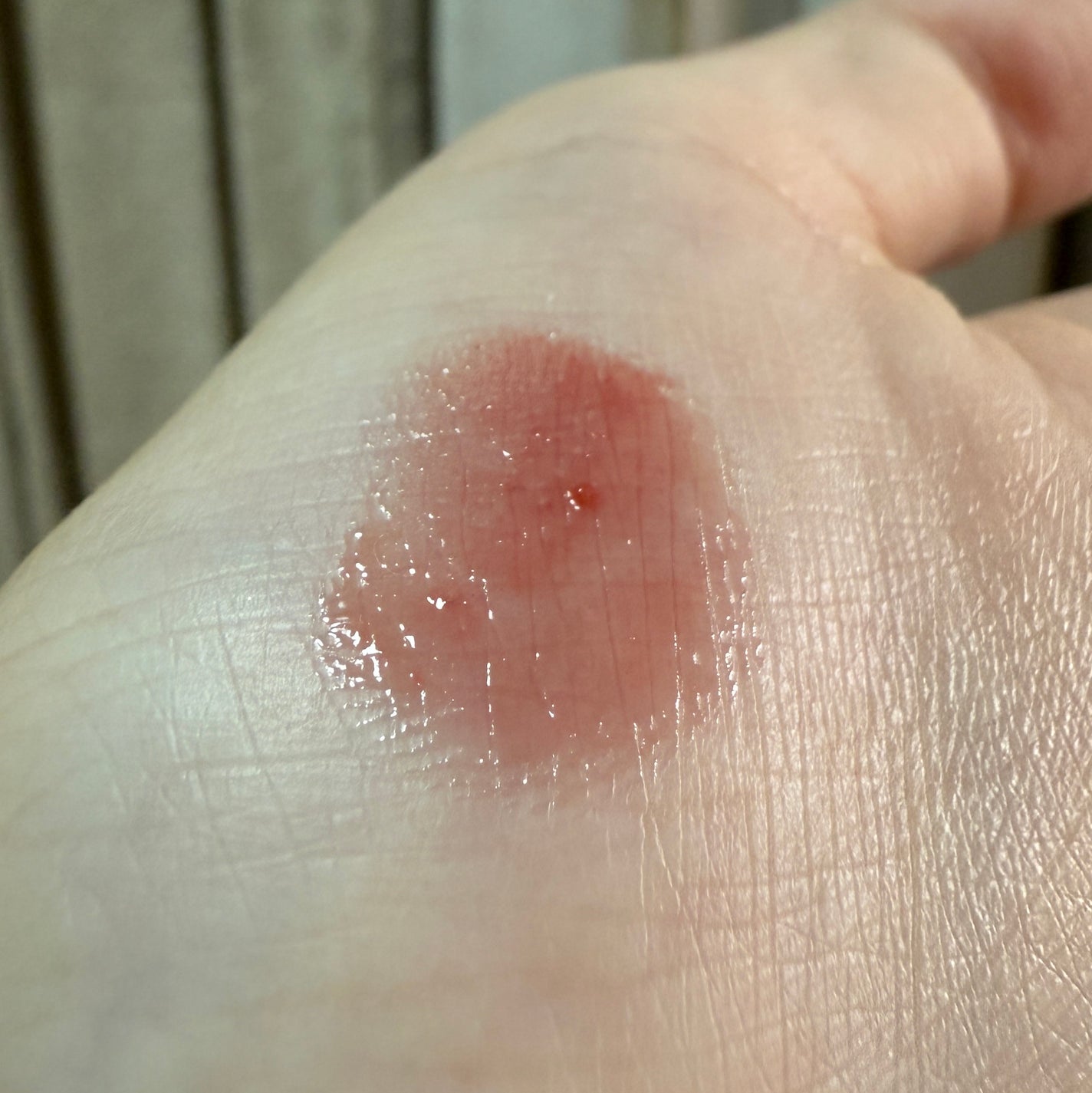 ハニーメルティングリップ/ネイチャーリパブリック/口紅を使ったクチコミ(4枚目)