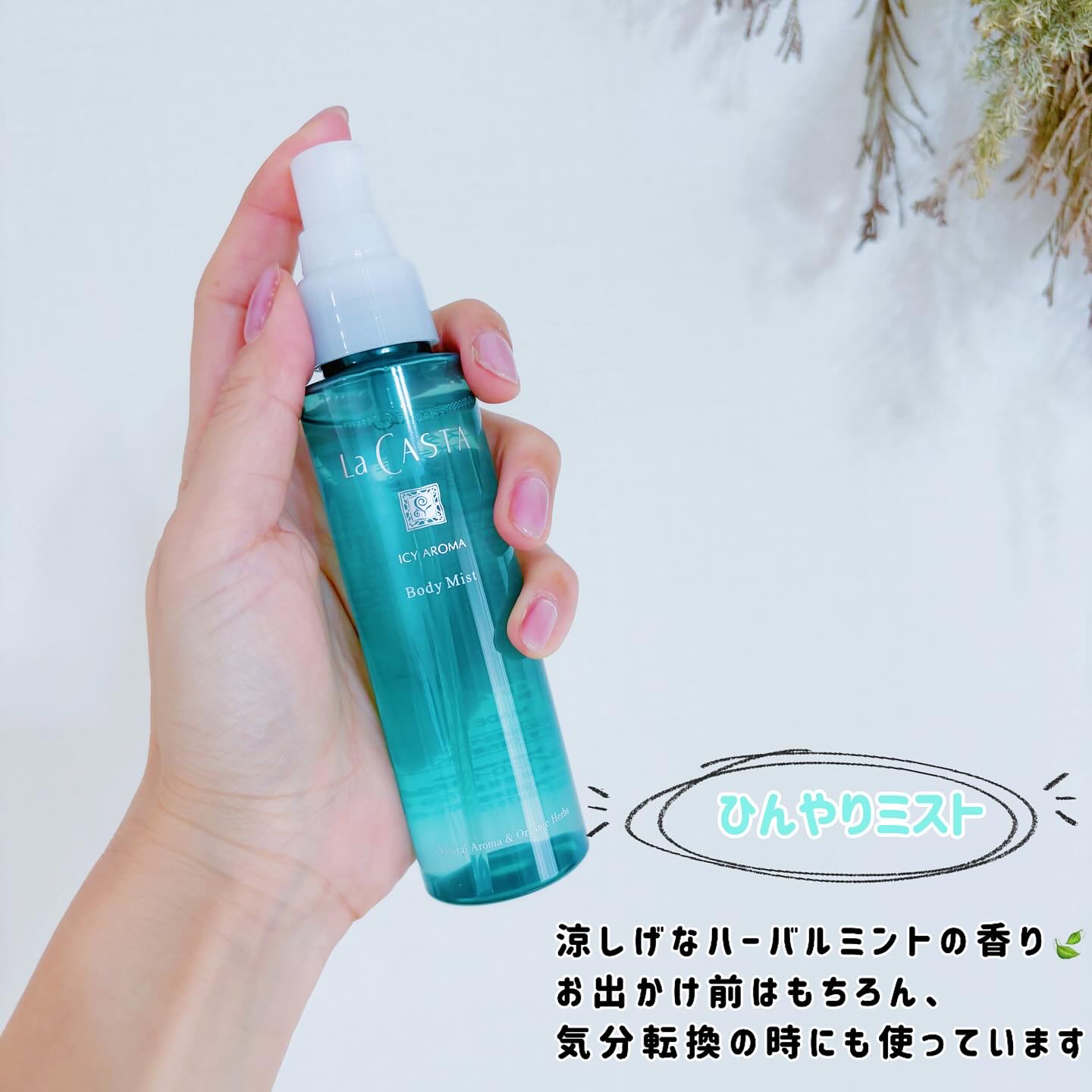 ラ・カスタ ラ・カスタ アイシーアロマ ヘアソープ のクチコミ「こんばんは❣️
⁡
ラ・カスタから毎年数量限定で出ているアイシーアロマシリーズが5月28日から.....」（3枚目）