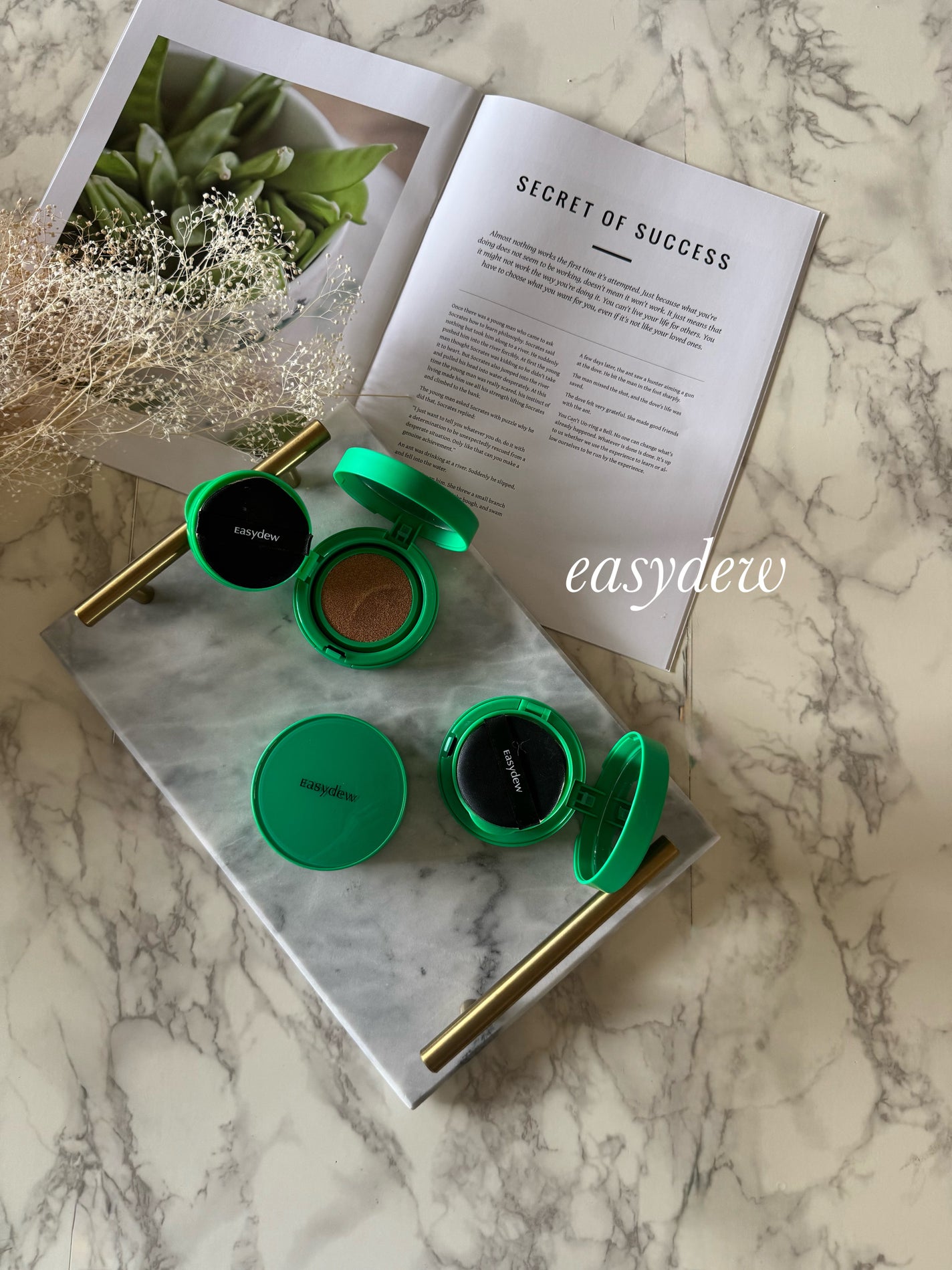 イージーデュー メラB トーニングアンプルクッション/Easydew/クッションファンデーションを使ったクチコミ(1枚目)