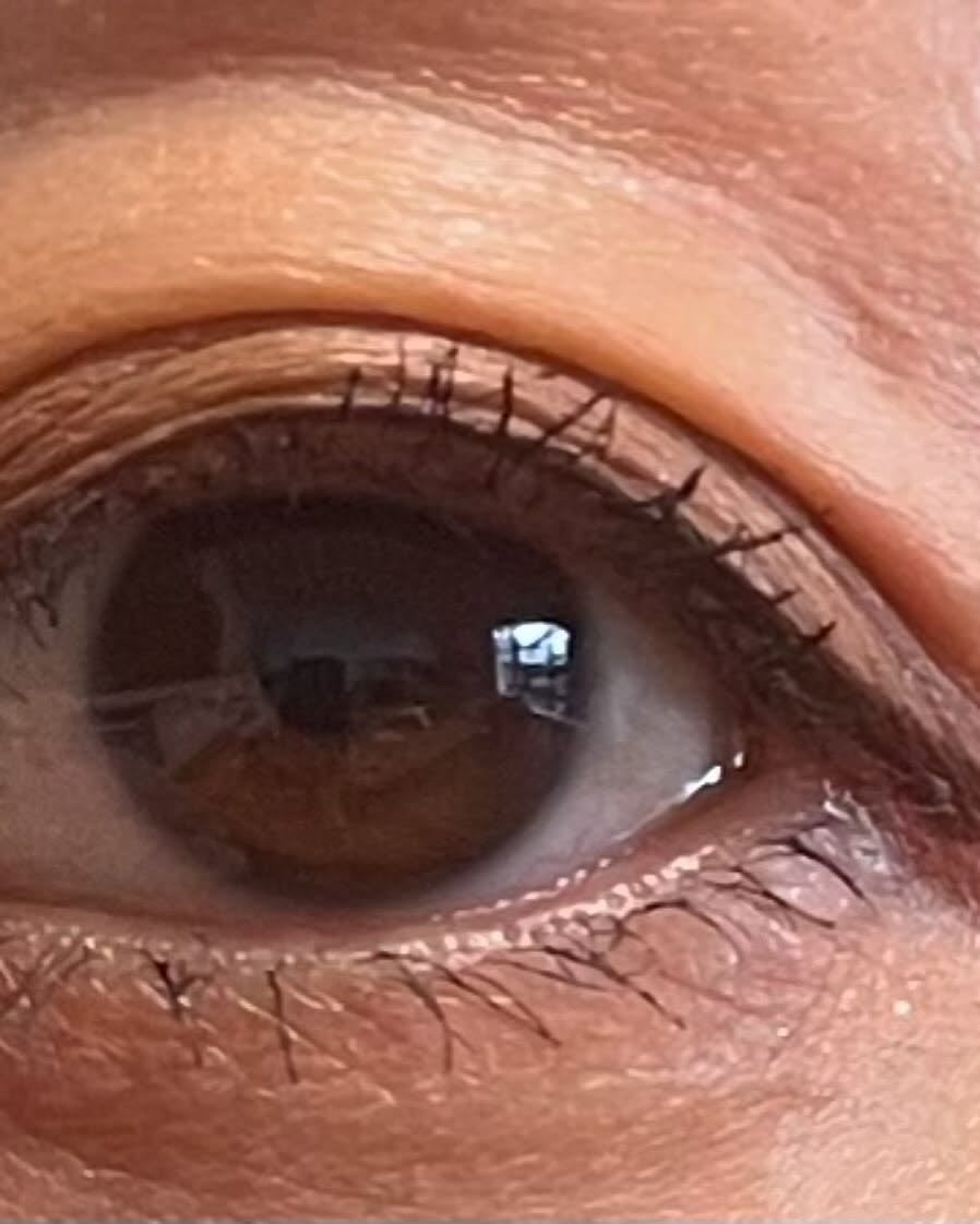 レモン on LIPS 「3650リキッドアイライナーチョコブラウンを使いました。細い線..」(4枚目)