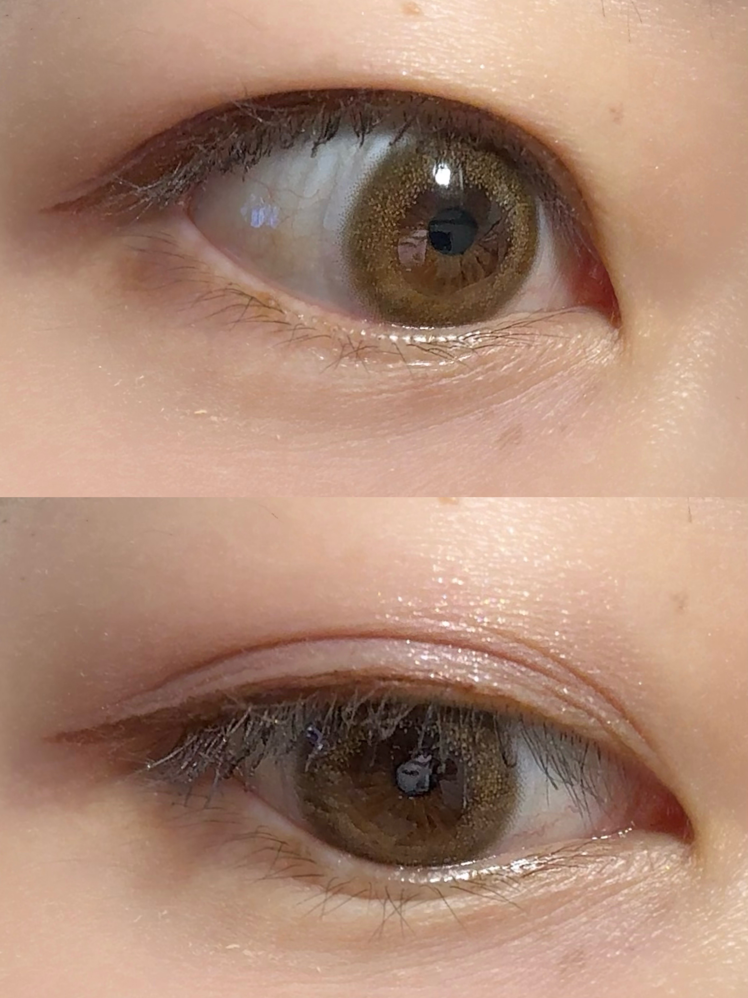 シャドウパレット/dasique/アイシャドウパレットを使ったクチコミ（2枚目）