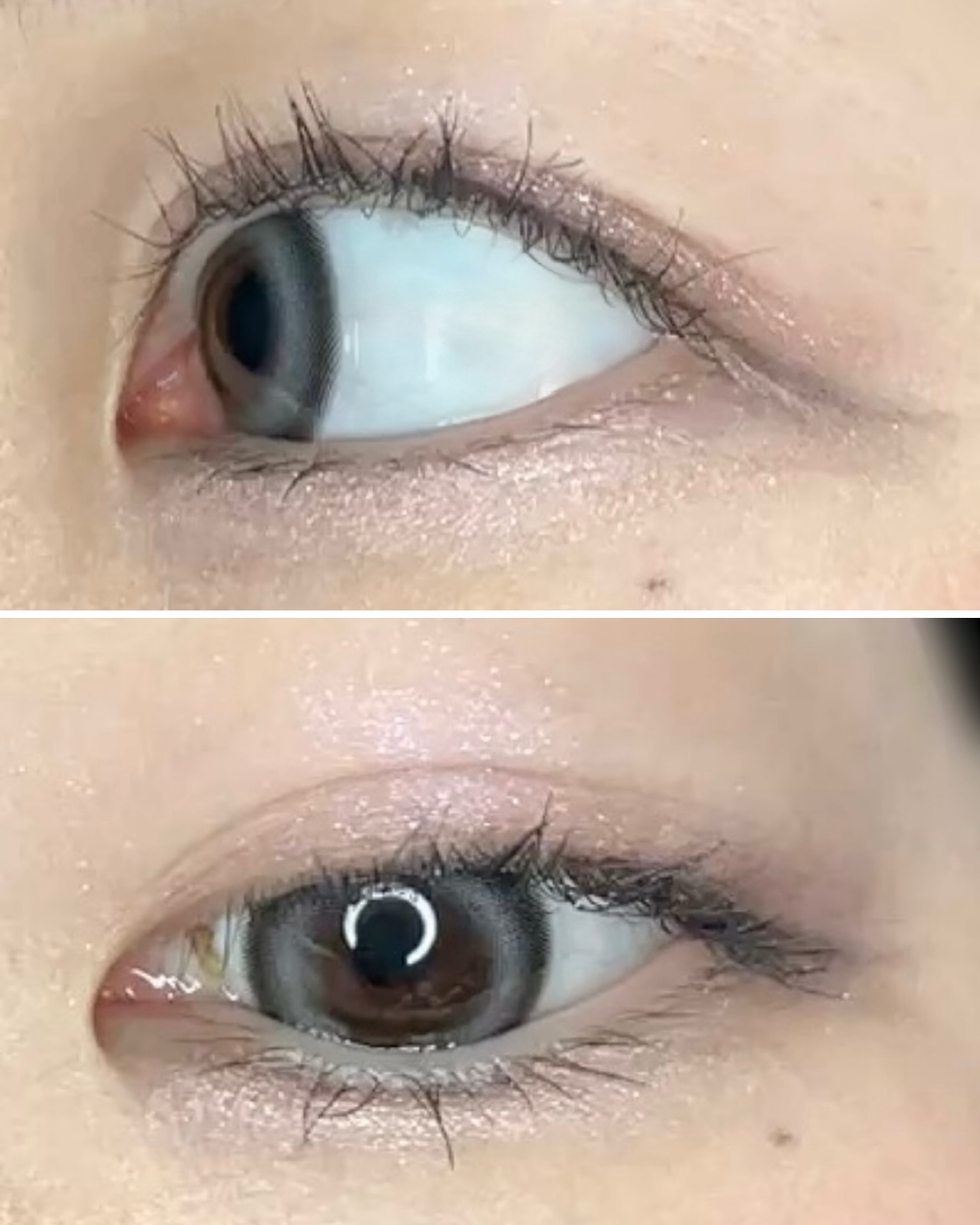 ANGÉLIQUE 1day/ANGÉLIQUE/ワンデー（１DAY）カラコンを使ったクチコミ（3枚目）