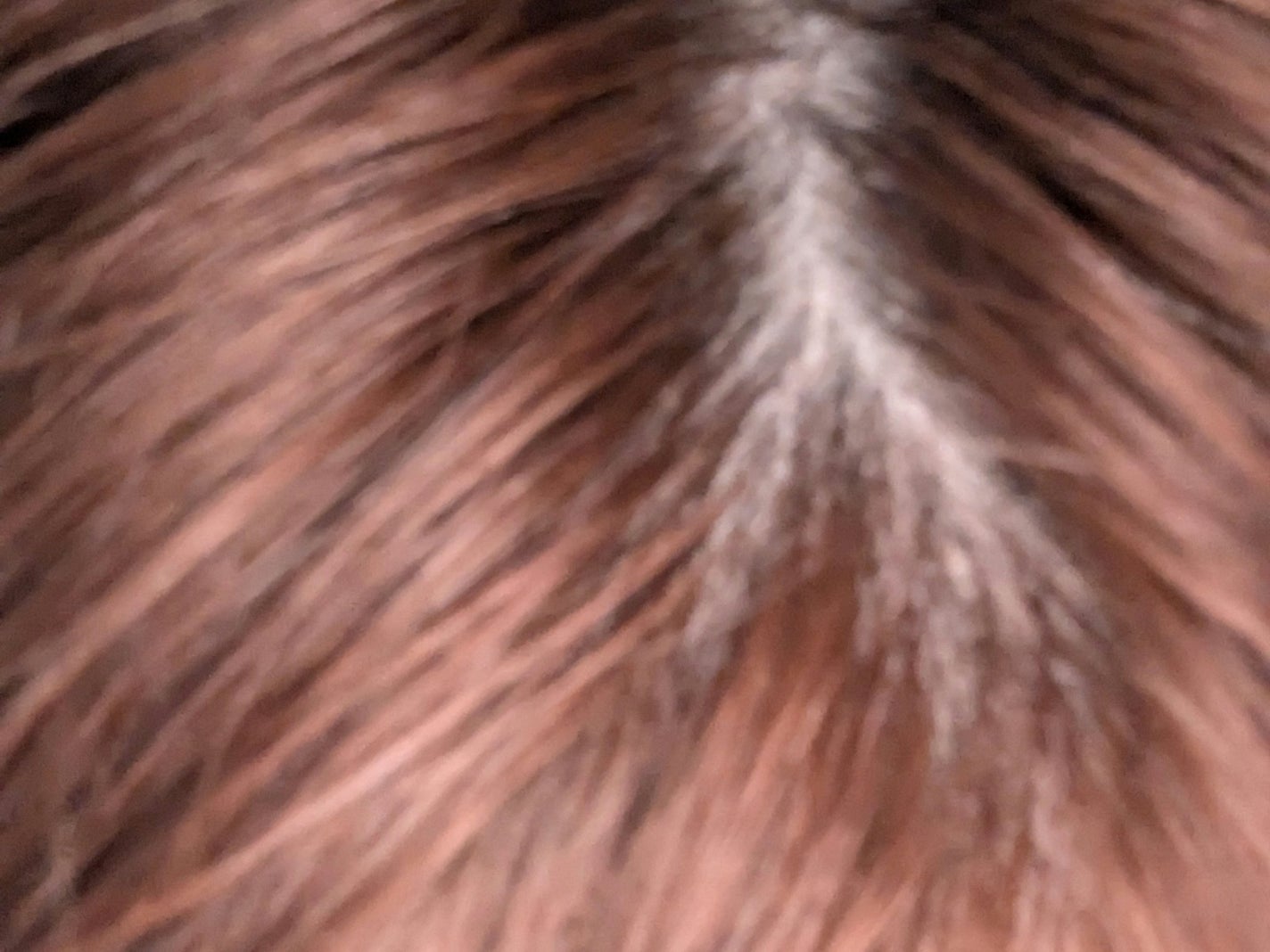 ホイップヘアカラー 髪色もどし/ビューティラボ/ヘアカラーを使ったクチコミ(7枚目)