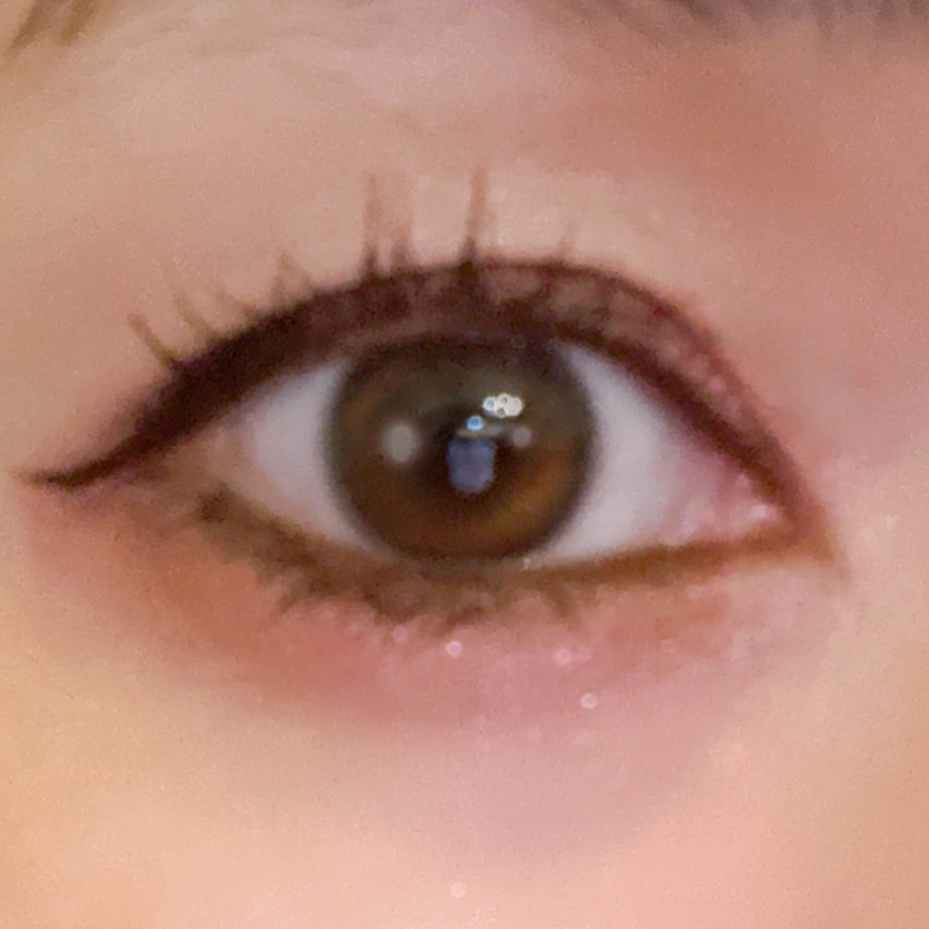 ミゼルエディ カールアップマスカラ ロング/ミゼルエディ/マスカラを使ったクチコミ（2枚目）