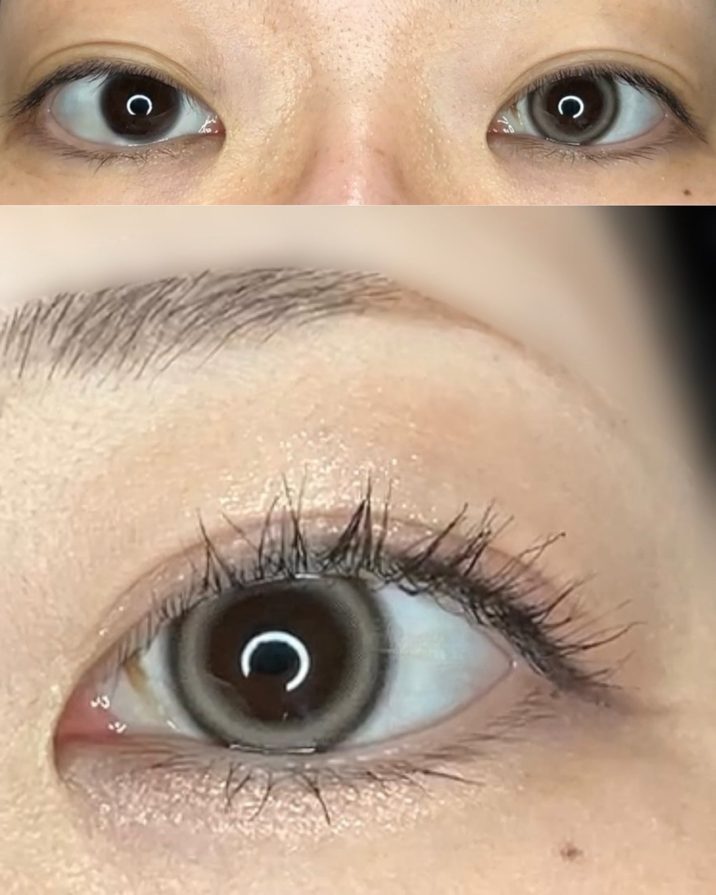 ANGÉLIQUE 1day/ANGÉLIQUE/ワンデー(1DAY)カラコンを使ったクチコミ(2枚目)