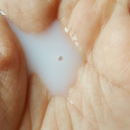 アロエメイド 発酵化粧水AY 200ml/アロエメイド/化粧水を使ったクチコミ(3枚目)