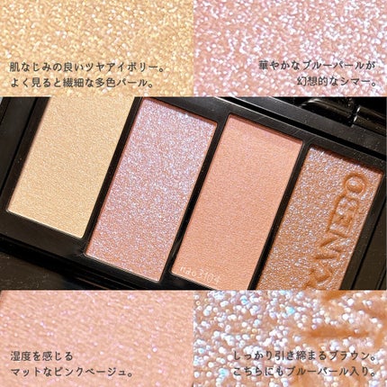 カラードシャドウ/KANEBO/アイシャドウパレットを使ったクチコミ(6枚目)