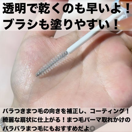 アイラッシュデザインメイカー/クレーリナ/マスカラ下地を使ったクチコミ(3枚目)