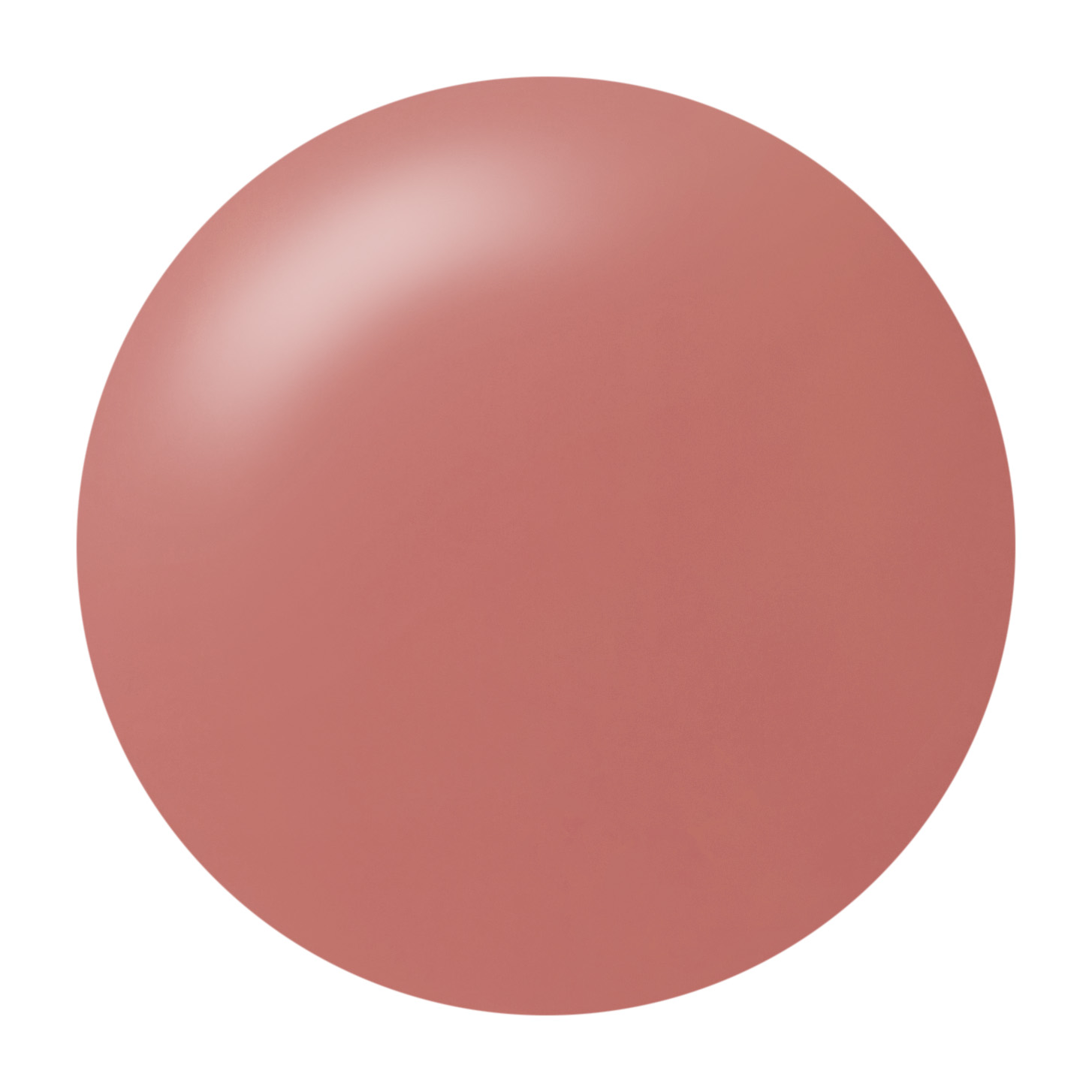 05 endless beige gerbera