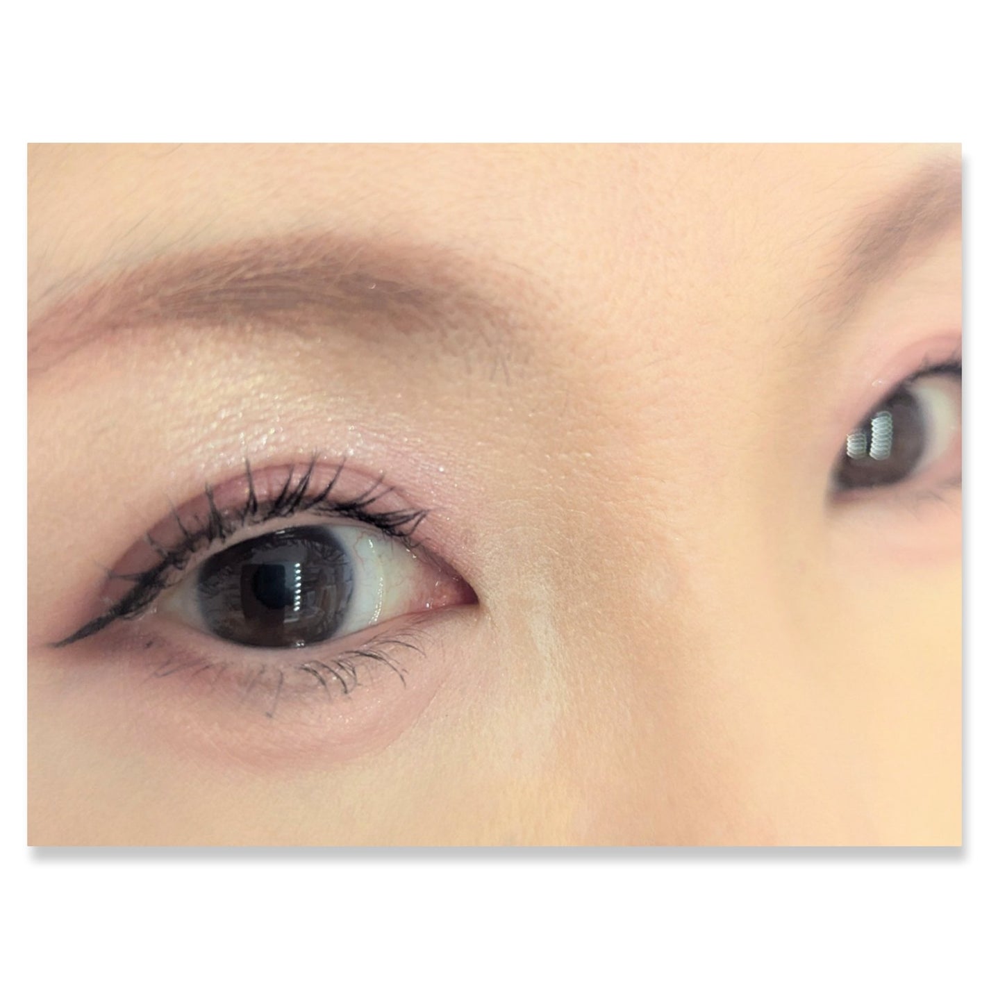 パーフェクトマルチアイズ/キャンメイク/アイシャドウパレットを使ったクチコミ(2枚目)