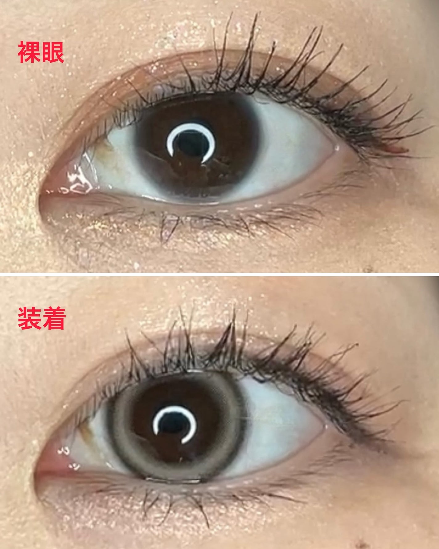 ANGÉLIQUE 1day/ANGÉLIQUE/ワンデー(1DAY)カラコンを使ったクチコミ(4枚目)