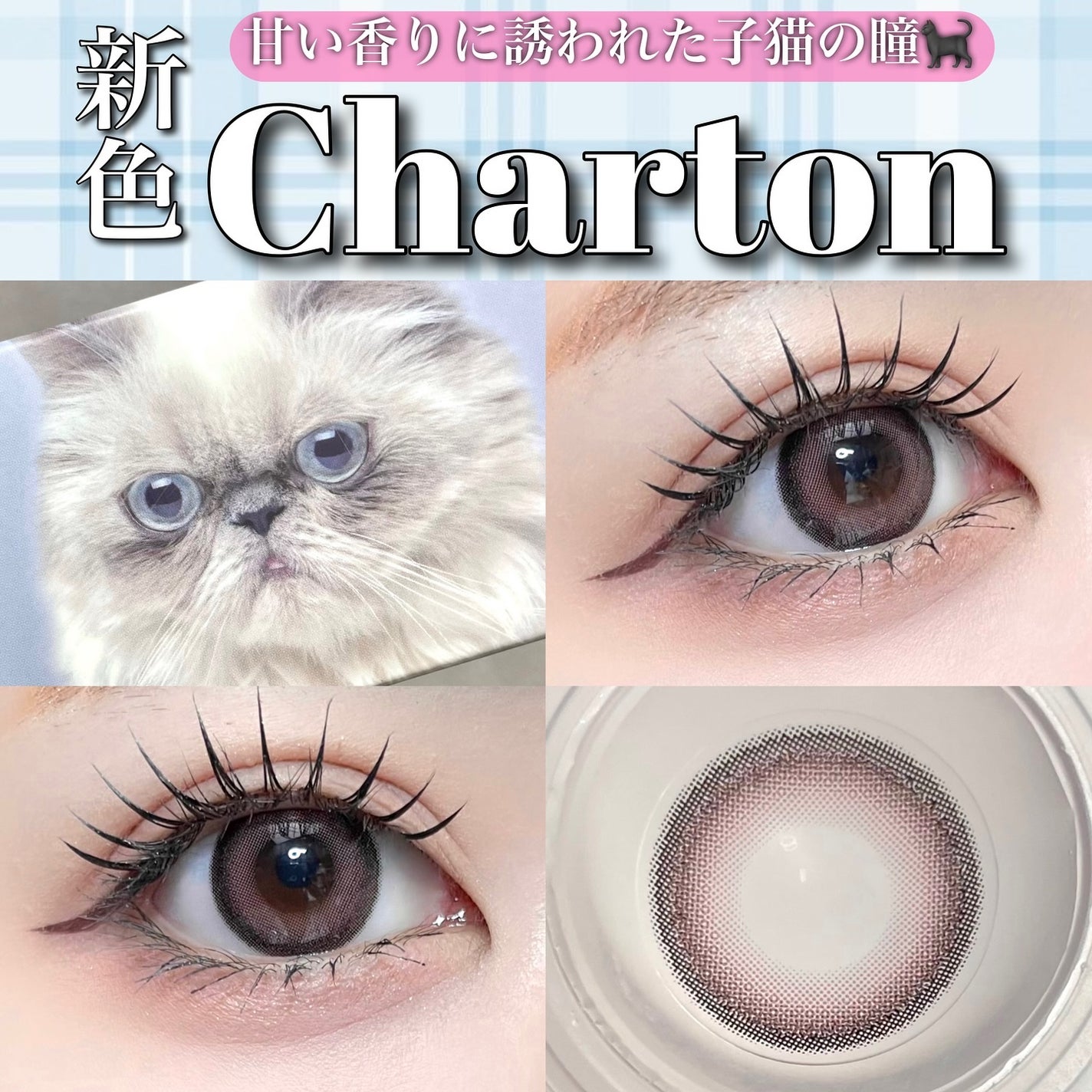 Charton 1day/Charton/ワンデー(1DAY)カラコンを使ったクチコミ(1枚目)