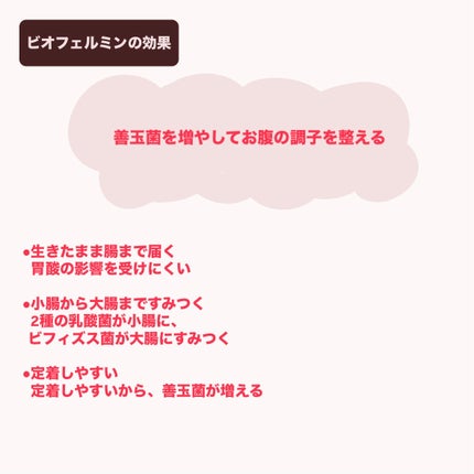 新ビオフェルミンS錠 /ビオフェルミン/健康サプリメントを使ったクチコミ(3枚目)