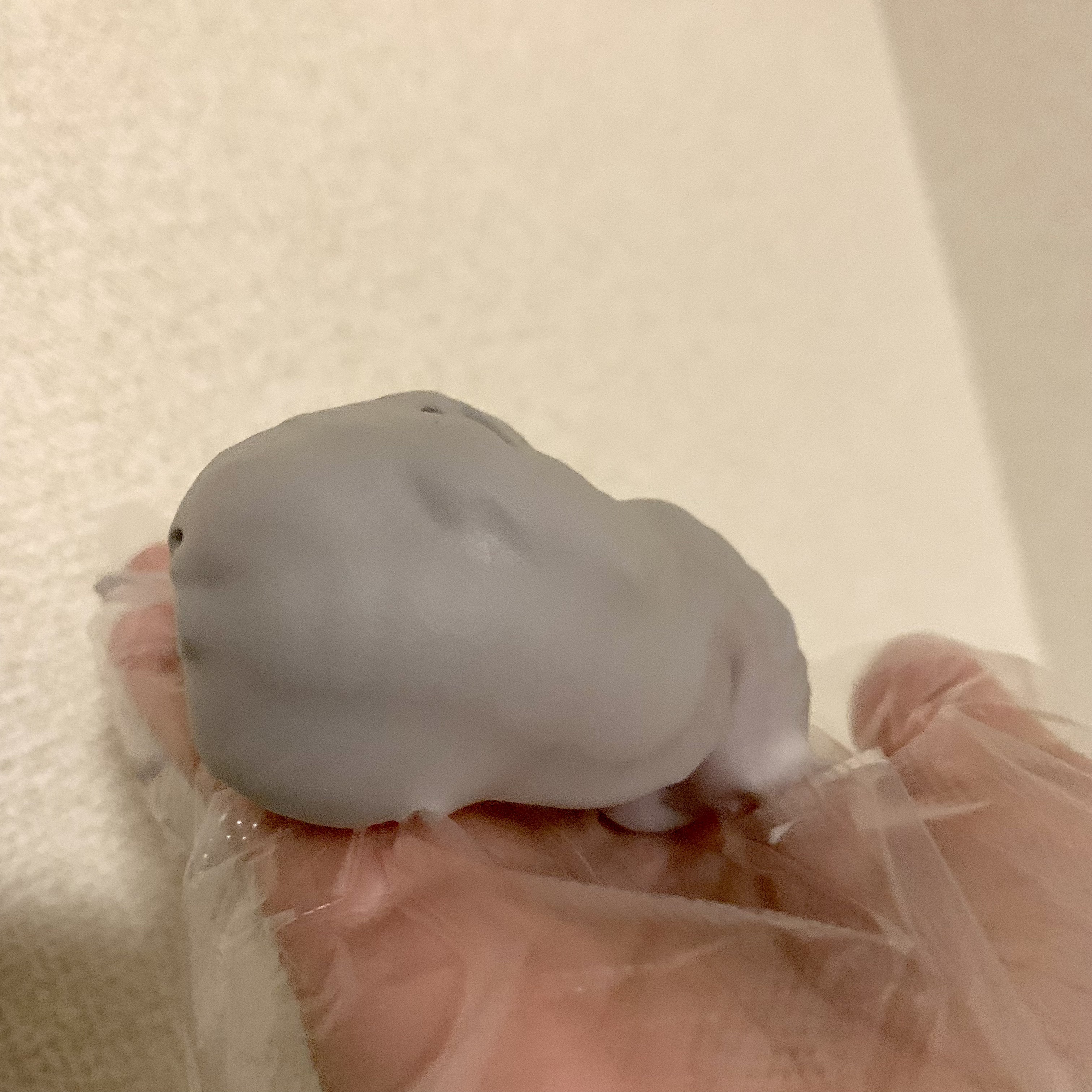 エアリー カラーリング フォーム/b.ris/ヘアカラーを使ったクチコミ（3枚目）