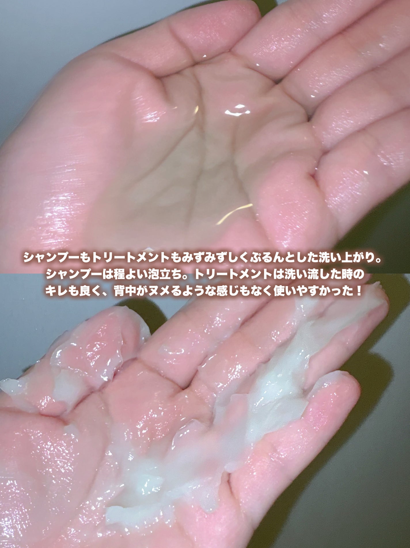 ãµãã³ããµãã¿ãã¢ã€ã¹ããã©ã³ãã·ã£ã³ããŒ/ãã¢ããªãŒãã¡ã³ã/Savon du Savota/ã·ã£ã³ããŒã»ã³ã³ãã£ã·ã§ããŒã䜿ã£ãã¯ãã³ãïŒ3æç®ïŒ