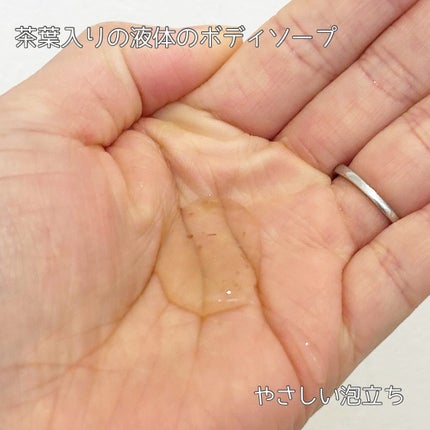 パフュームボディウォッシュ フィグピーチウーロンティー/TEABLESS/ボディソープを使ったクチコミ(3枚目)