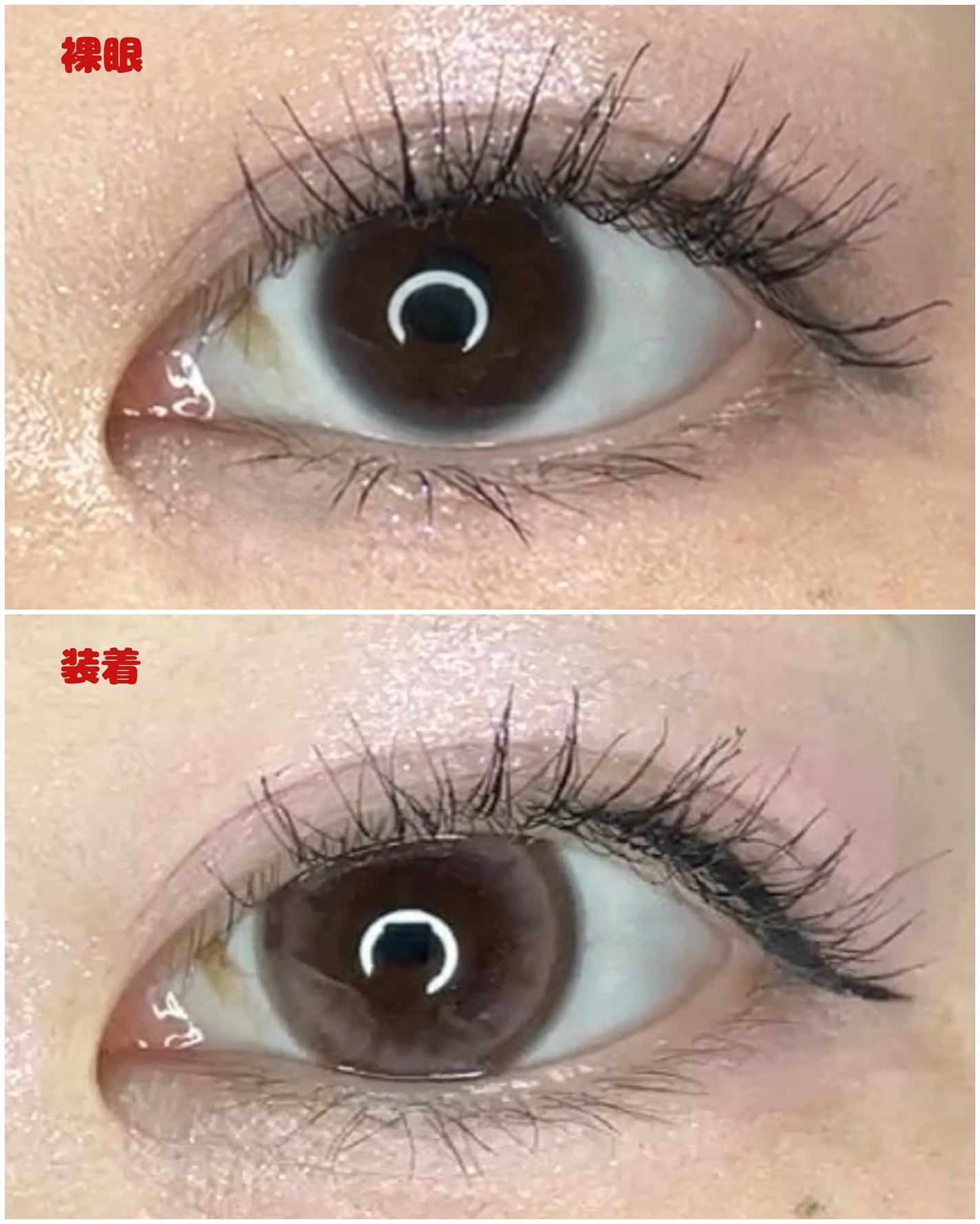 michou 1day/michou/ワンデー(1DAY)カラコンを使ったクチコミ(4枚目)